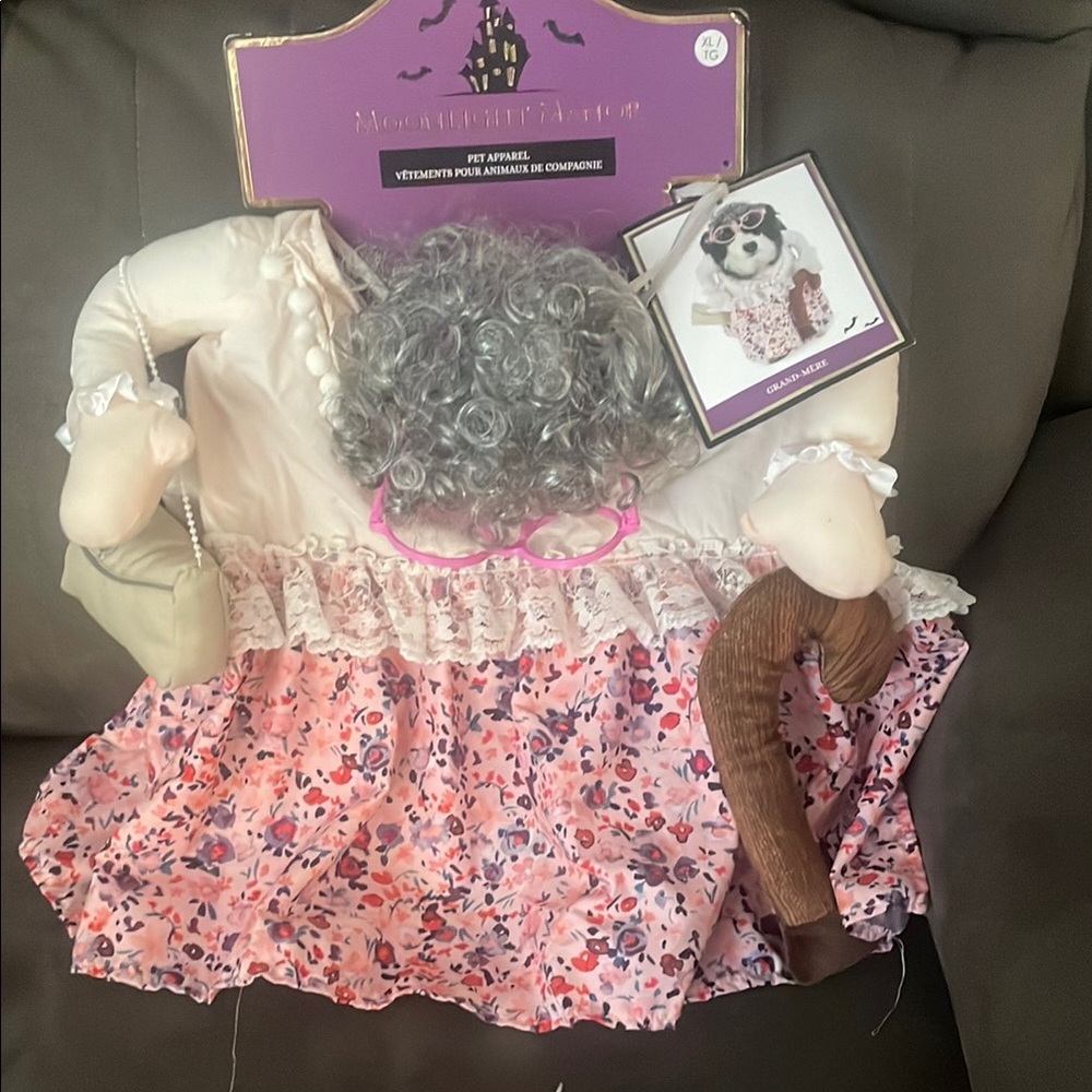 Pet Costume with Pink Floral Dress